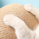 Bola Arranhadora para Gatos