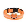 Colar de Led para Pets
