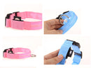 Colar de Led para Pets