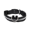 Colar de Led para Pets