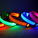 Colar de Led para Pets