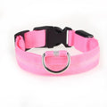 Colar de Led para Pets