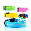 Colar de Led para Pets