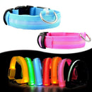 Colar de Led para Pets